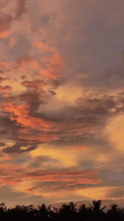 insight image gif