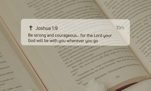 Dear human, Episode 2: Be still, and know that He is God.