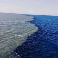 When we met at the edge —the story of two oceans.