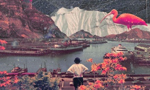 LAYERS OF MEMORY AND ICE