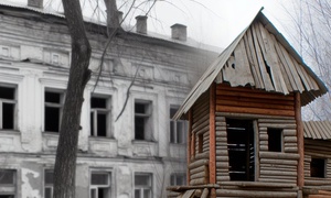 The Treehouse