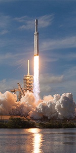 insight image