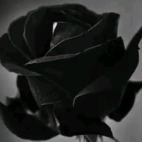 Another friendship gone