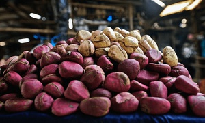 THE SYMBOLISM OF OJI IGBO (KOLA NUT) IN IGBO LAND