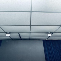 The In-Visible Root : A Tribute to Women