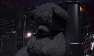 Oppression: The New Peer Pressure