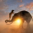 Do Not Kill That Elephant, It Could B...
