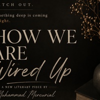 HOW WE ARE WIRED UP