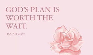 Dear human, Episode 4: God's timing is worth the wait.