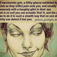 THE NARCISSIST'S JOURNAL