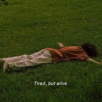 This Term Called Life