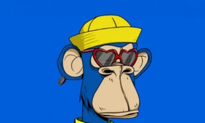 What is the hype about NFTs? (D)