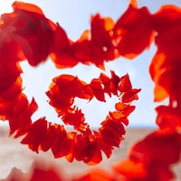 From Femi to Forever?  My First Crush Story
