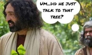 Sunday Twists S1E4...Why did Jesus curse that fig tree?