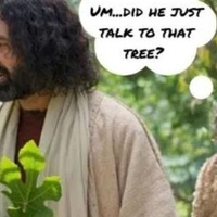 Sunday Twists S1E4...Why did Jesus curse that fig tree?