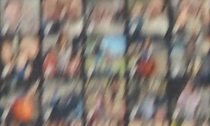 Guess What's In My Gallery?