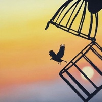 FREEDOM IS THE PRETTIEST WORD FOR BONDAGE