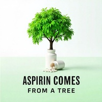 Did You Know: Aspirin Comes From a Tree