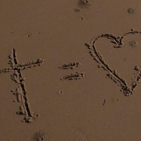 Fraudulent friendship