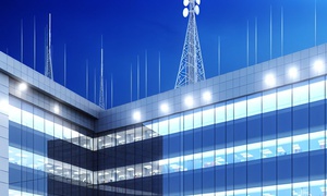 Categories of Media Organs