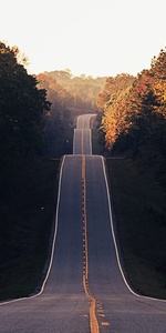 insight image