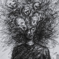 Why are emotions so important?