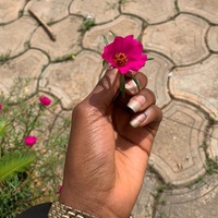 Just Give Up, I Guess!