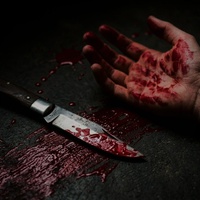 SO, WHO KILLED MADAM?
